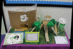 Picture5